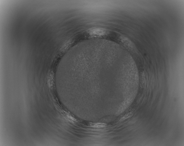 X0000062630463200601041036