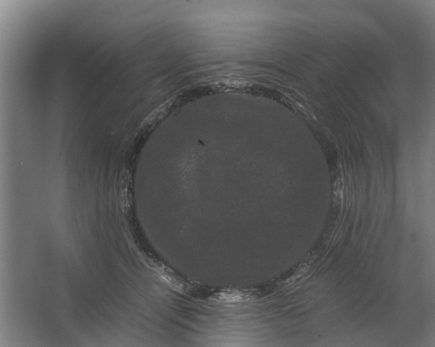 X0000062630464200601041036