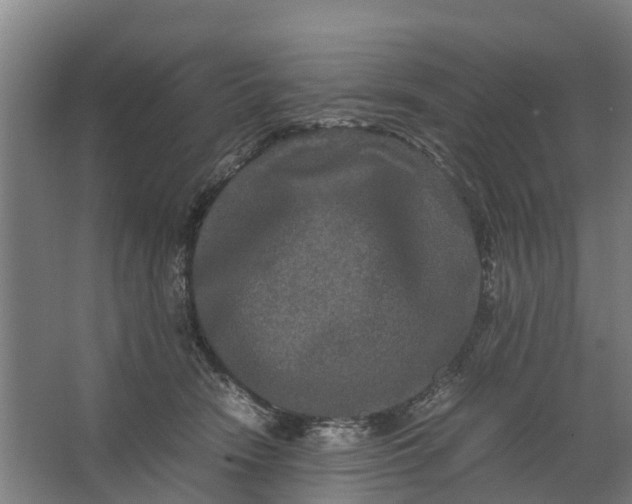 X0000062630466200601041036