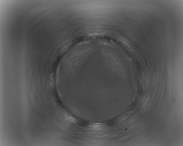 X0000062630467200601041036