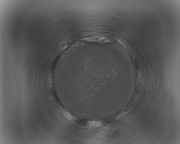 X0000062630469200601041036