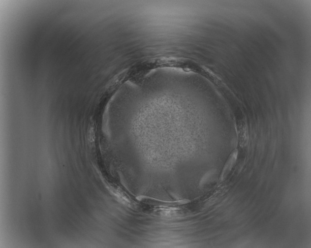 X0000062630472200601041036