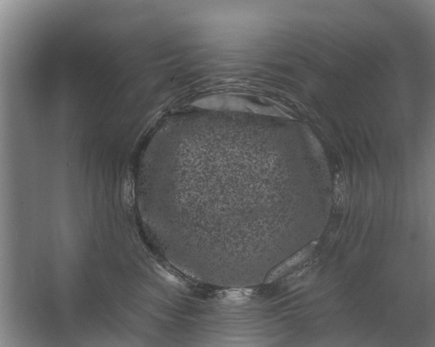 X0000062630474200601041036