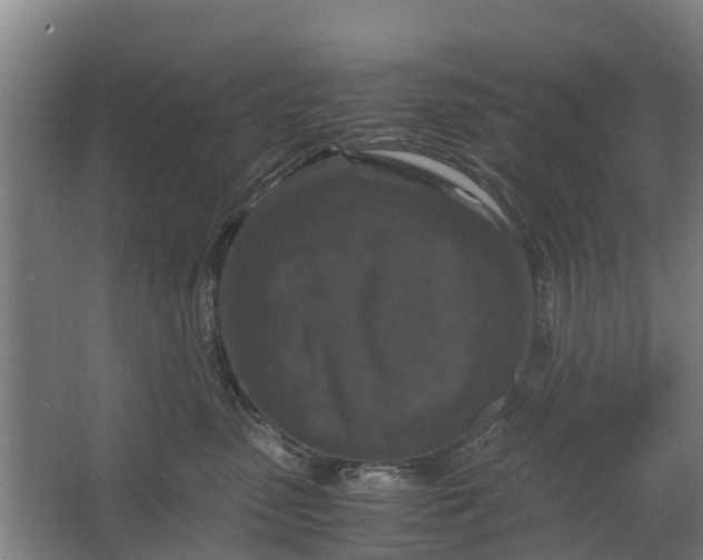 X0000062630475200601041036