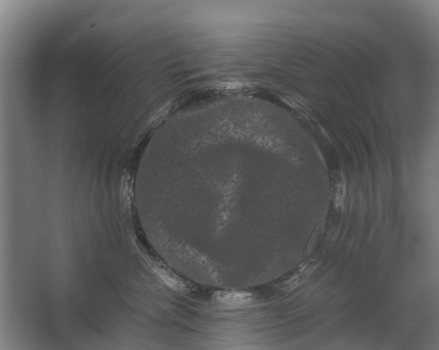 X0000062630476200601041036