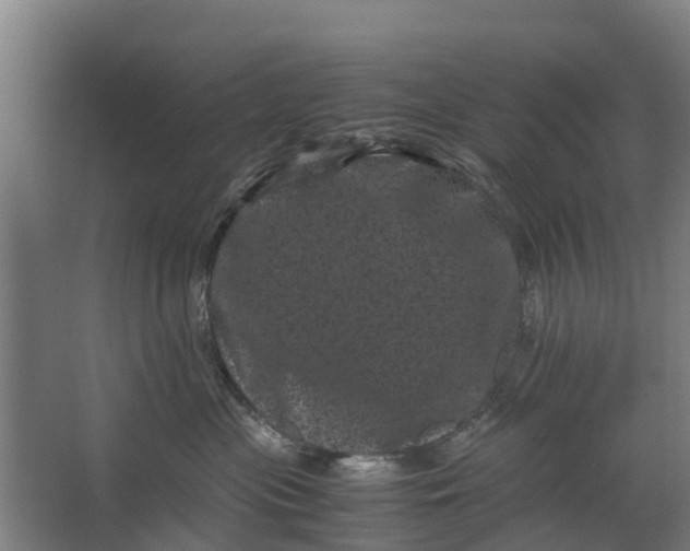 X0000062630477200601041036