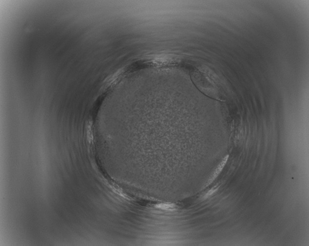 X0000062630478200601041036