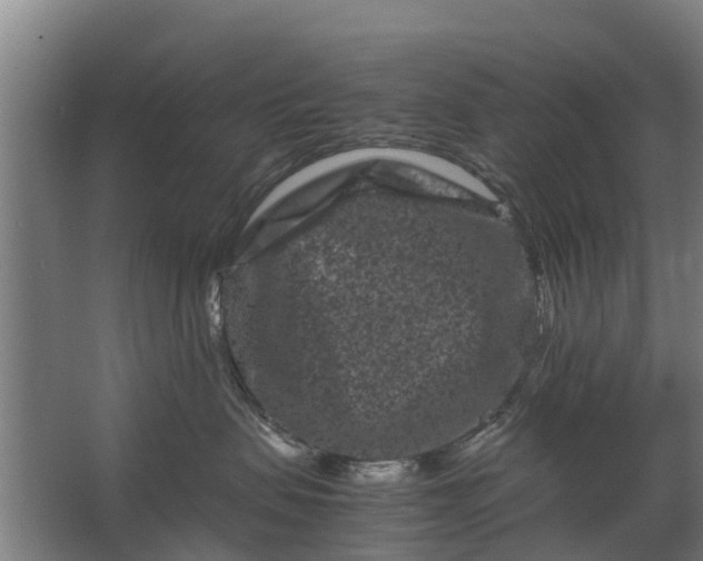 X0000062630479200601041036