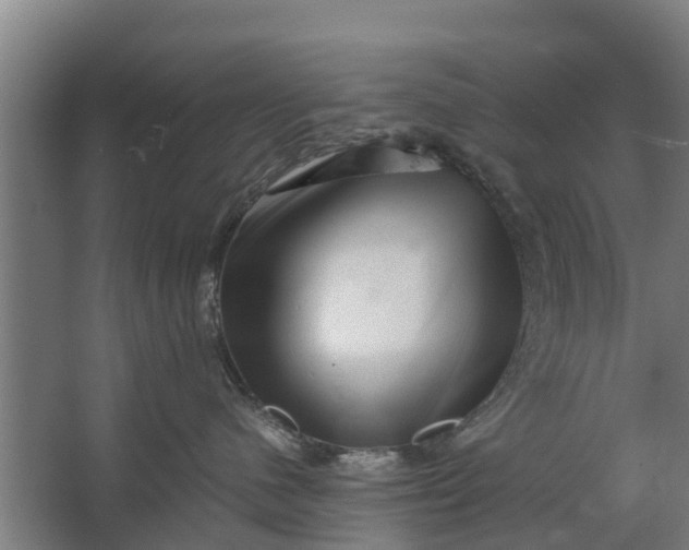 X0000062630480200601041036