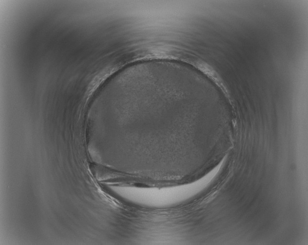 X0000062630481200601041035