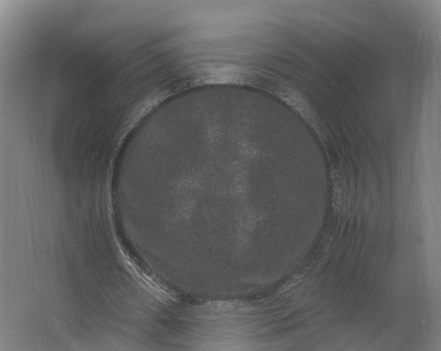 X0000062630482200601041035