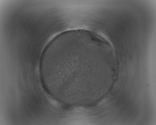 X0000062630483200601041035