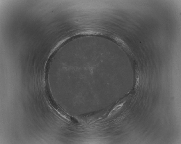 X0000062630484200601041035