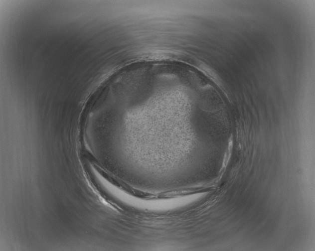 X0000062630485200601041035