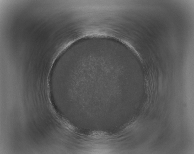 X0000062630487200601041035