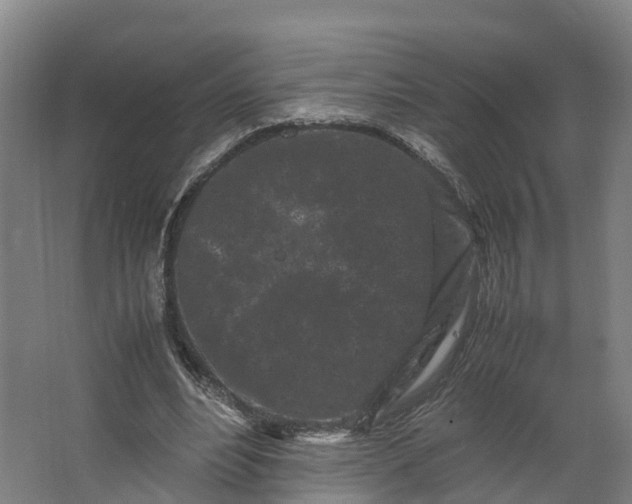 X0000062630488200601041035