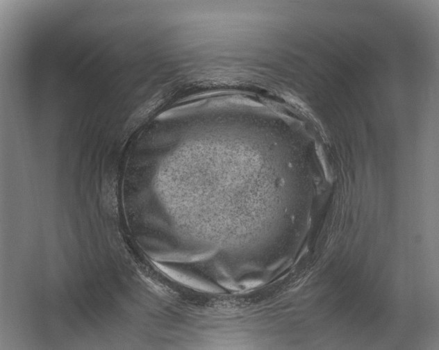 X0000062630489200601041035