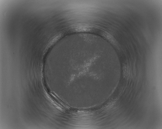 X0000062630490200601041035