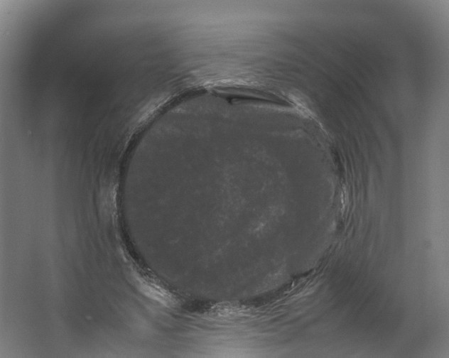 X0000062630491200601041035