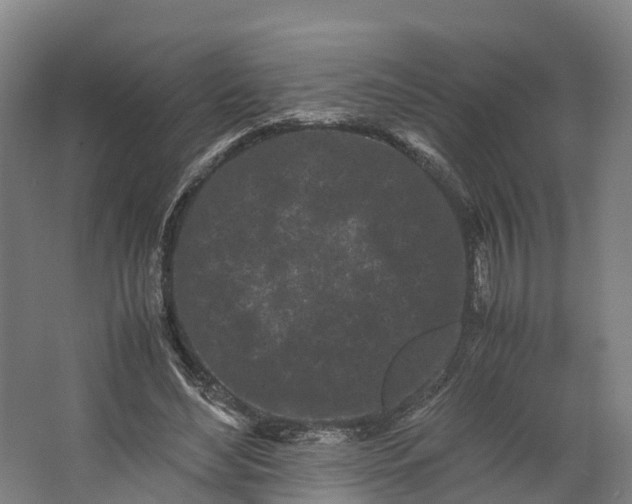 X0000062630492200601041035