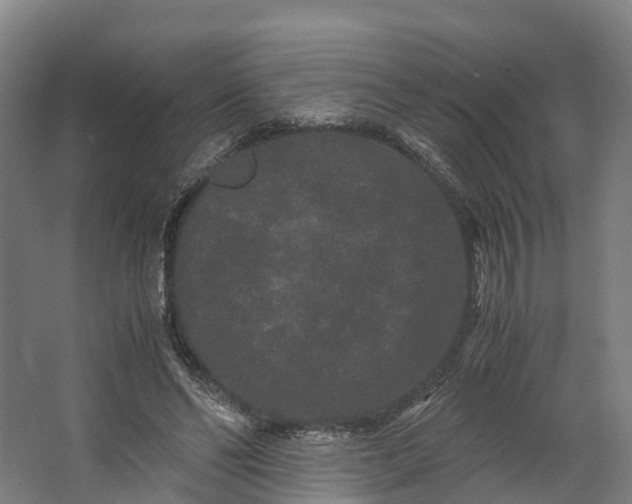 X0000062630494200601041035