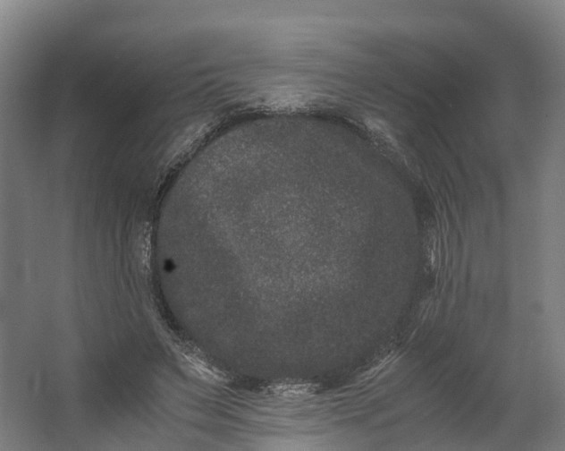 X0000062630495200601041035