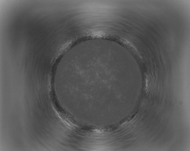 X0000062630496200601041035