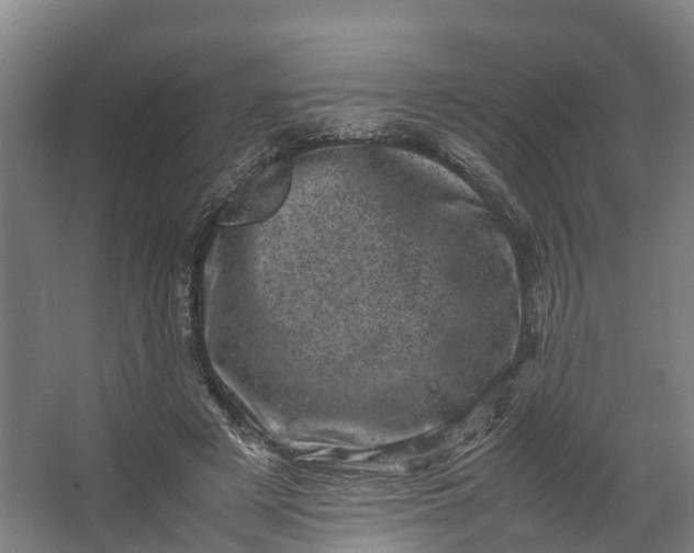 X0000062630497200601041035