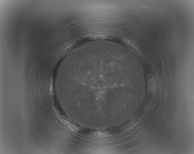 X0000062630498200601041035