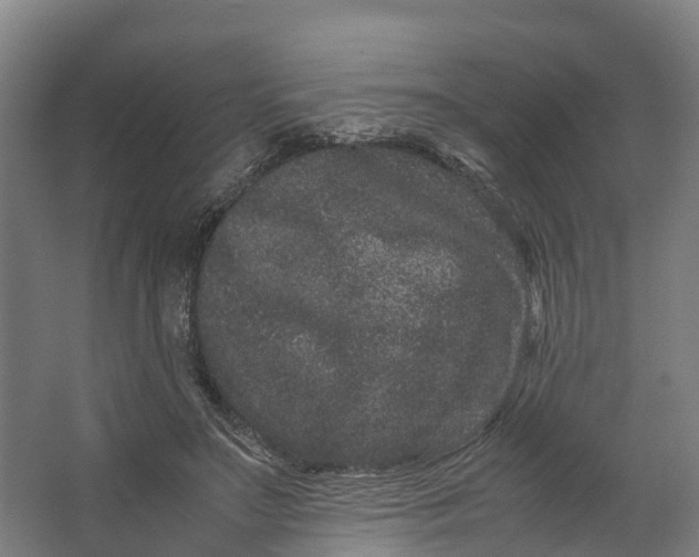 X0000062630499200601041035