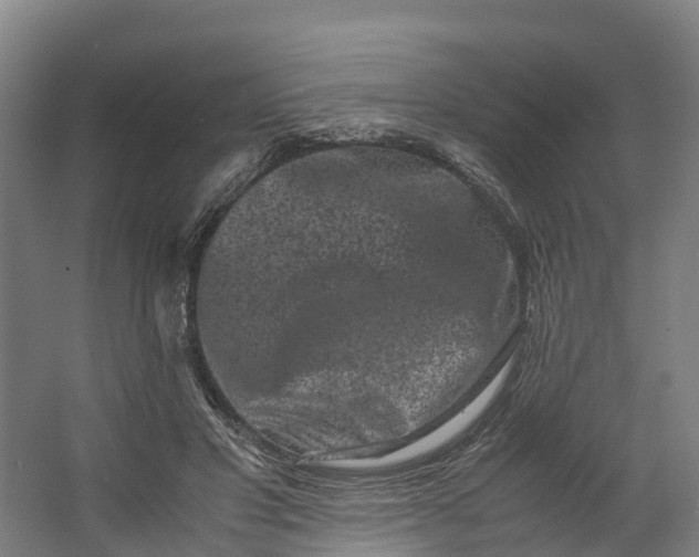 X0000062630501200601041035