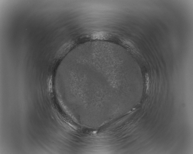 X0000062630502200601041035