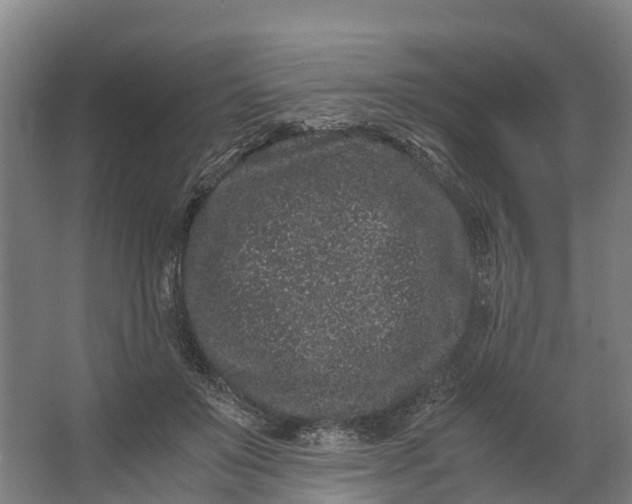 X0000062630503200601041035