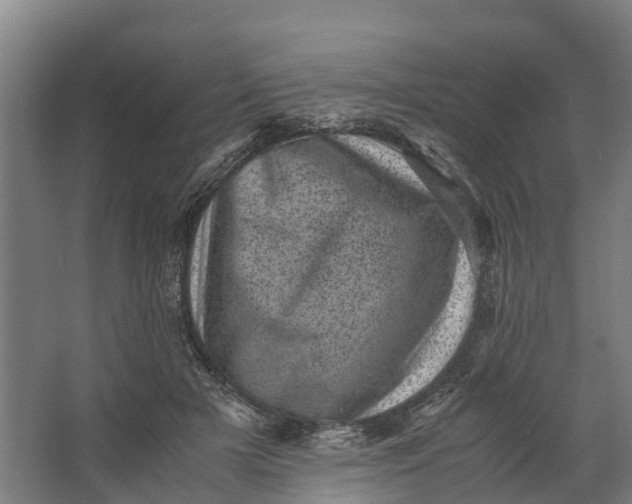 X0000062630505200601041035