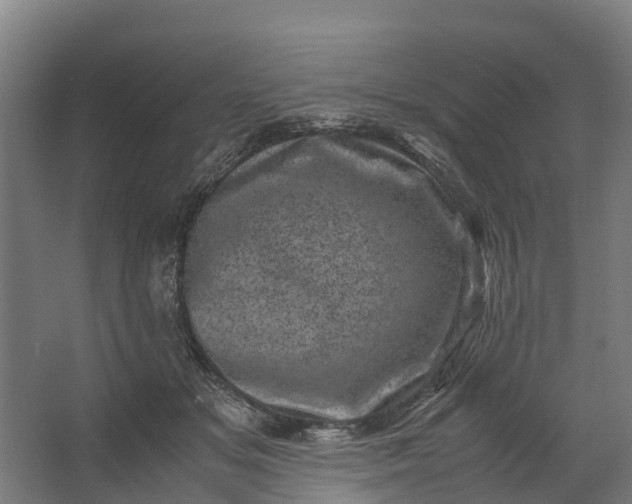 X0000062630509200601041035