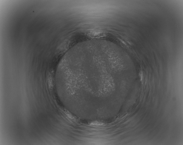 X0000062630515200601041034