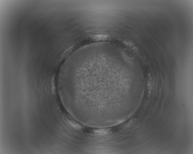 X0000062630516200601041034