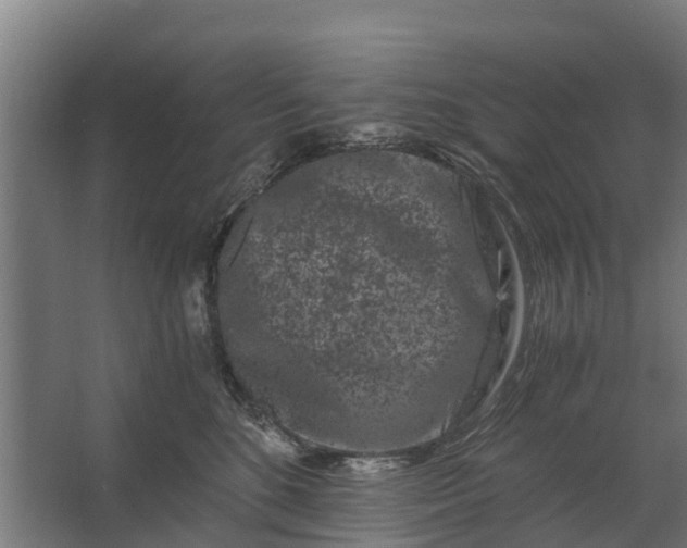 X0000062630520200601041034