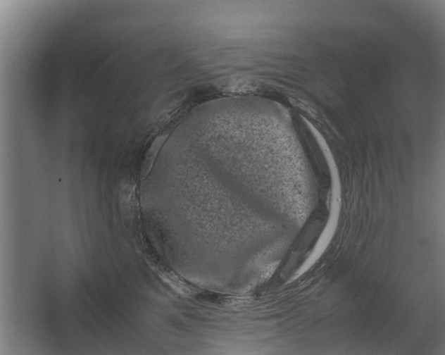 X0000062630521200601041034