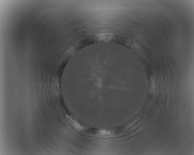 X0000062630522200601041034