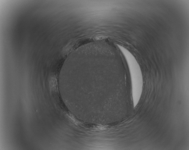 X0000062630523200601041034