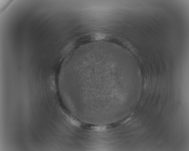 X0000062630524200601041034