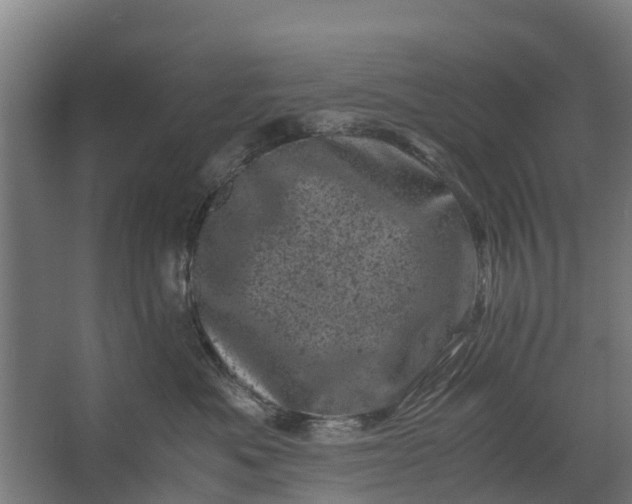 X0000062630525200601041034