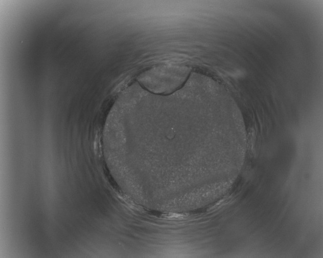 X0000062630527200601041034