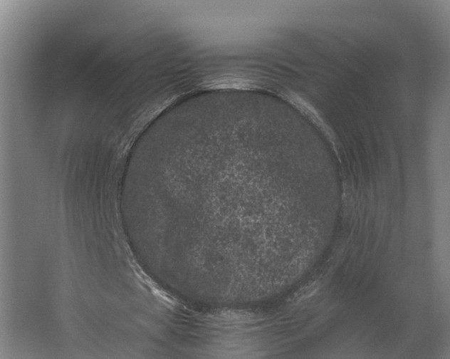 X0000062630529200601041033