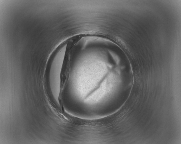 X0000062630532200601041033