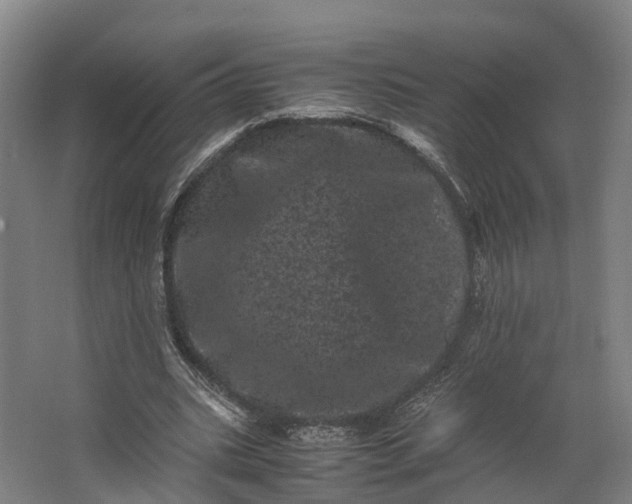 X0000062630535200601041034