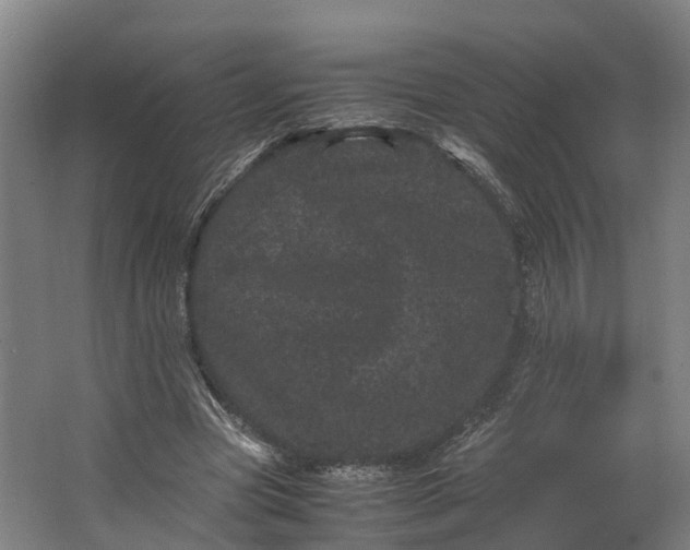 X0000062630537200601041034