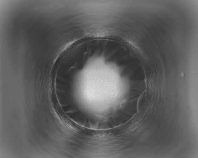 X0000062630540200601041034