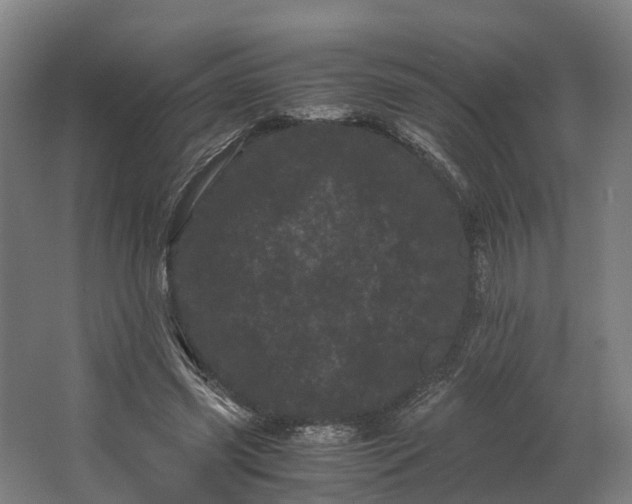 X0000062630541200601041034